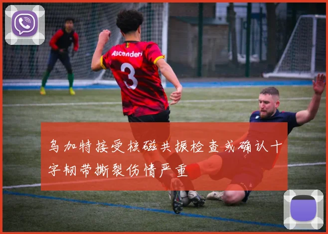 乌加特接受核磁共振检查或确认十字韧带撕裂伤情严重