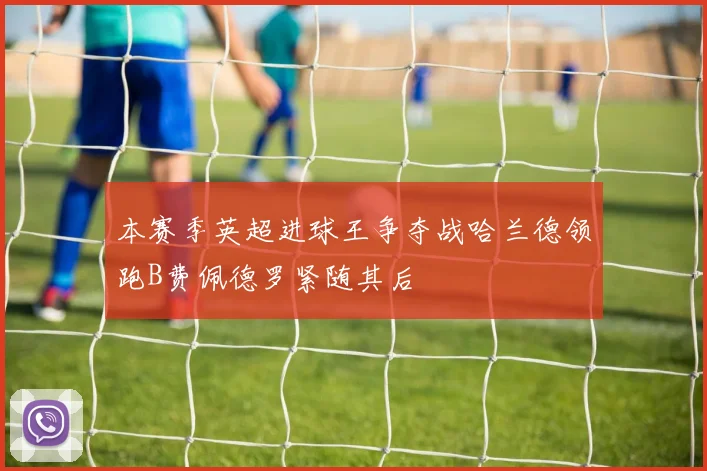 本赛季英超进球王争夺战哈兰德领跑B费佩德罗紧随其后